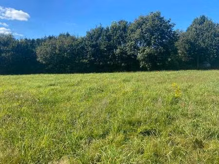 vente terrain à guengat (29180) : à vendre / guengat