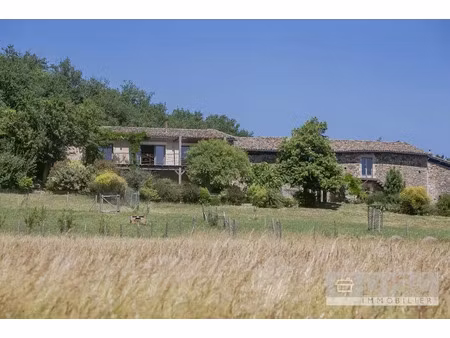 vente maison 10 pièces 279.5 m² à puycelci (81140)  470 000 €