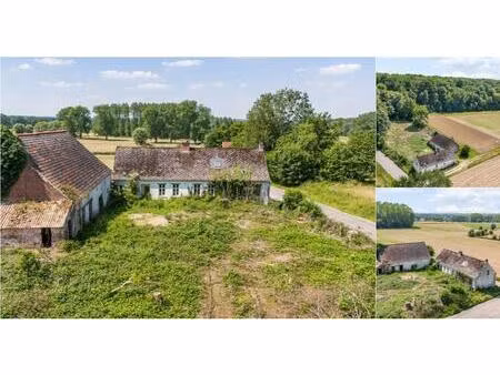 fermette à vendre avec terrasse et jardin   denderwindeke (rbv35027)