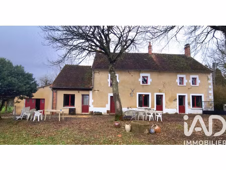 vente maison 5 pièces 250 m² saint-amand-en-puisaye (58310)