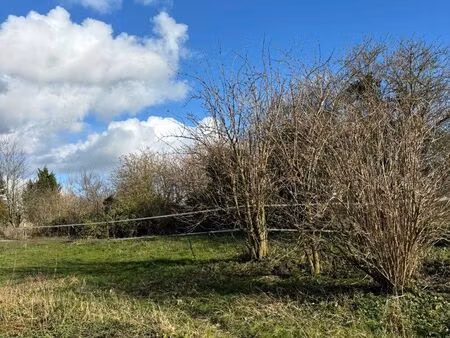 vente terrain 7137 m² valenciennes (59300)