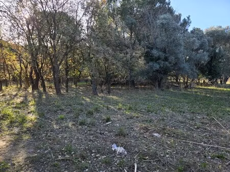 terrain agricole à bormes-les-mimosas  1056 m² dispo