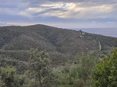 terrain de 6.728 ha à bormes-les-mimosas  nature authentique