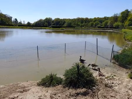 vente maison 15912 m² féron (59610)