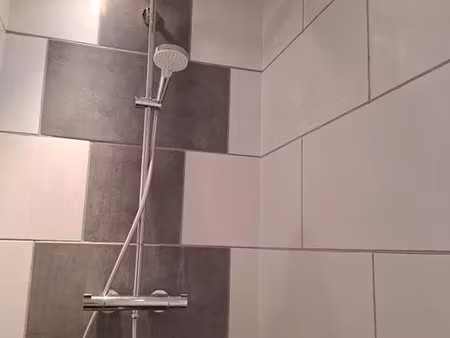 location appartement 4 pièces 130 m² à schiltigheim (67300)