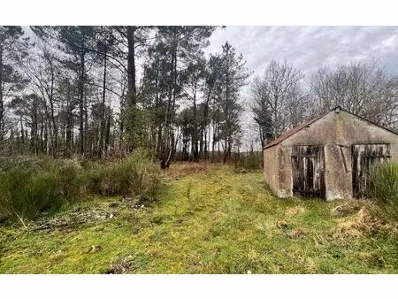 terrain pruniers-en-sologne m² t- à vendre  9 500 €