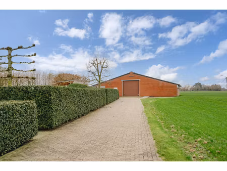 commercieel te huur in wuustwezel