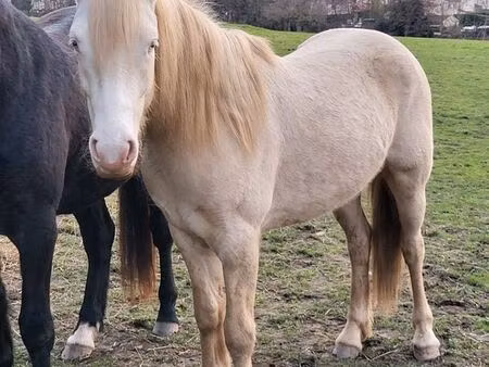 recherche location terrain