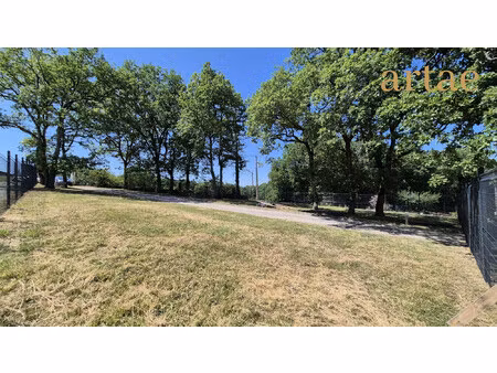 terrain constructible