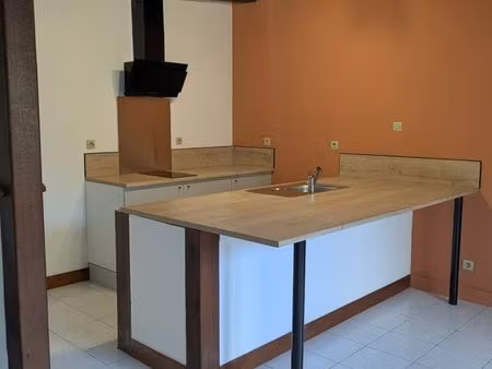 grand t2 rénové  jardin  2 caves – centre ville