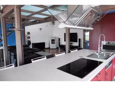 superbe maison avec jardin et terrasses (sans charge commune