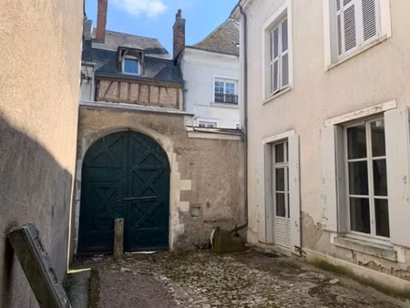 maison à vendre amboise 20 pièce(s) 650m2 1 200 000€