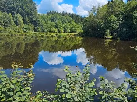 étang de pêche avec forêt