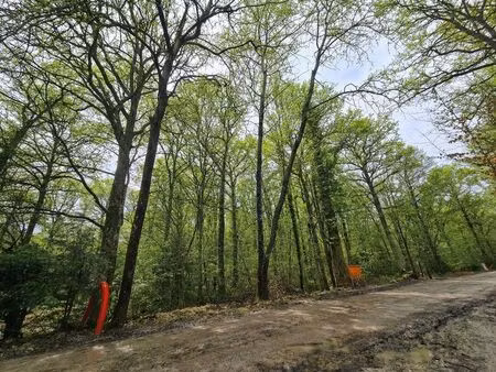 terrain à vendre à cerfontaine € 59.000 (lleo8) - trassud immobilier | zimmo