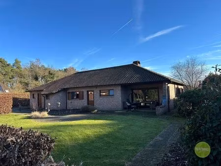 maison à louer à mol € 1.650 (llexo) - mol matimmo vastgoed | zimmo