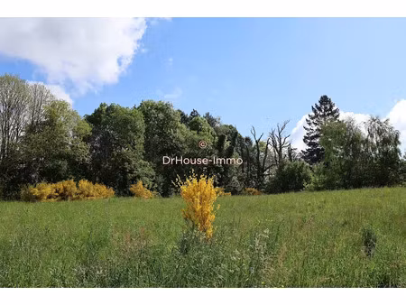 vente terrain 1077 m² à saint-yrieix-la-perche (87500)  23 000 €