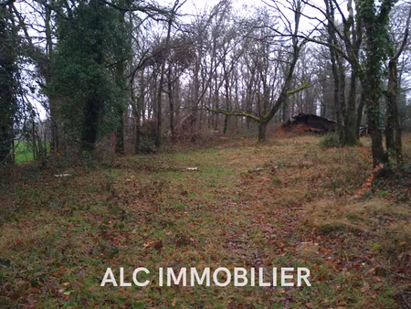 vente terrain 3570 m² à rouperroux (61320)  13 000 €