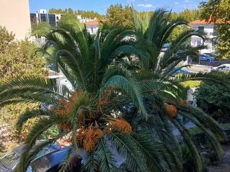 location appartement 4 pièces 82 m² à fréjus (83370)