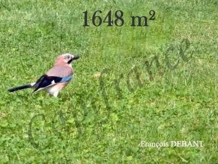 terrain constructible à vendre