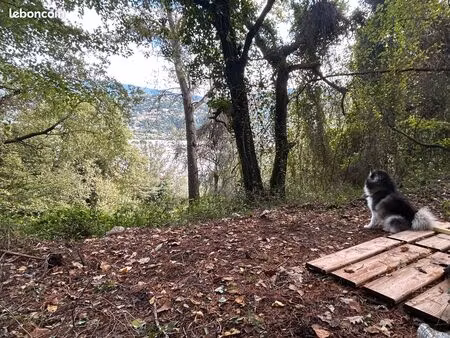 carros-terrain non constructible