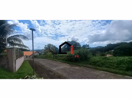 vente terrain 638 m² à saint joseph (97212)  77 000 €