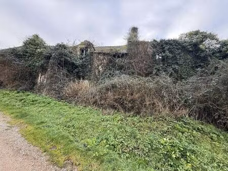 vente maison au hézo (56450) : à vendre / 200m² le hézo