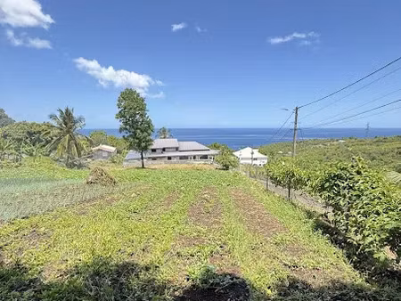 vente terrain 1000 m² à vieux habitants (97119)  135 000 €