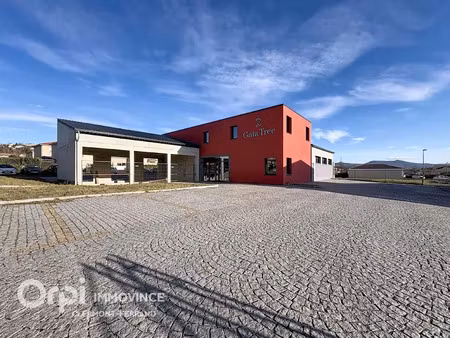 vente locaux professionnels à cournon-d'auvergne (63800)  nan €