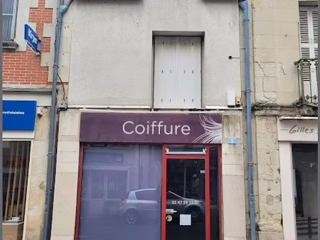 vente locaux professionnels 3 pièces 67 m² à descartes (37160)  55 600 €