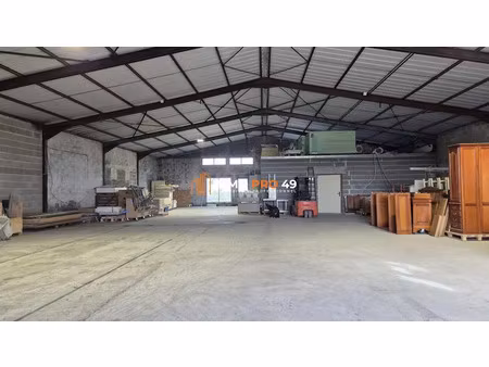 vente locaux professionnels 1248 m² à les epesses (85590)  420 000 €