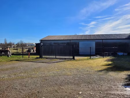 vente locaux professionnels à rieumes (31370)  180 000 €