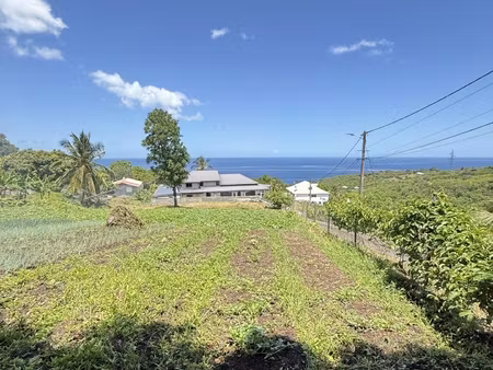vente terrain 1 000 m²