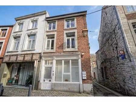 agréable app. 1 chambre entièrement rénové - 1ère occupation