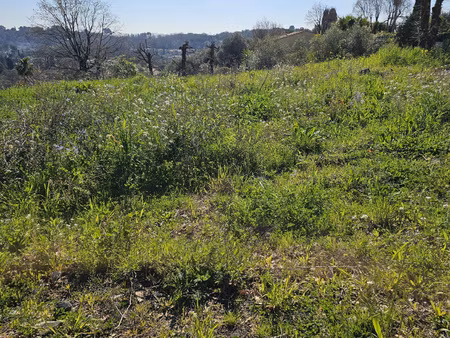terrain à bâtir à valbonne 1123m2