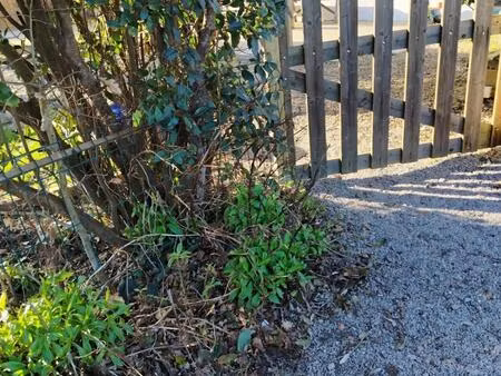 longère de charme exposée sud.