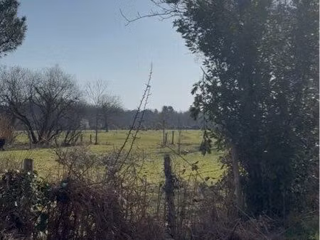 cherche terrain de loisir à louer printemps été 2026