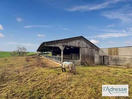 vente terrain  10000.00m²  fleury