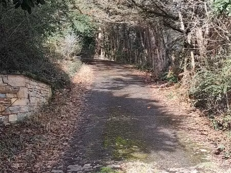 vente maison de village 4 pièces 76 m2 à saint-hilaire-de-brens