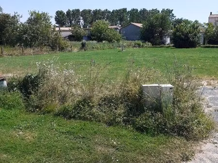 terrain constructible