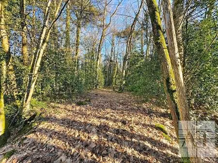 vente bois  forêt et étang à saint-jean-sur-mayenne (53240) : à vendre / 8494m² saint-jean