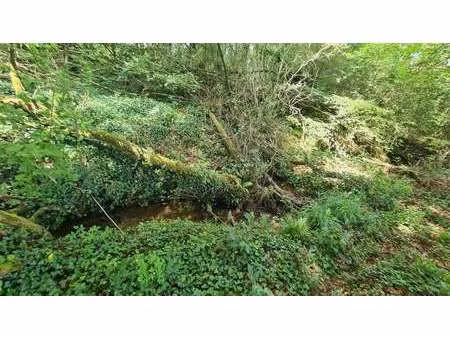 vente terrain à dinan (22100) : à vendre / 4300m² dinan