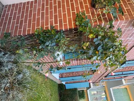 location appartement 3 pièces à honfleur (14600) : à louer 3 pièces / 55m² honfleur