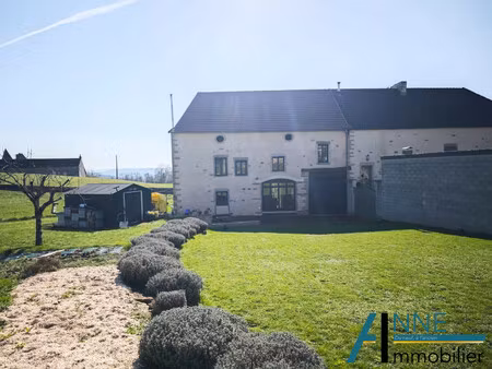 avec une vue paisible  maison ancienne rénovée avec grand gara