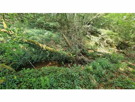 terrain à vendre dinan 4300m2 8 800€