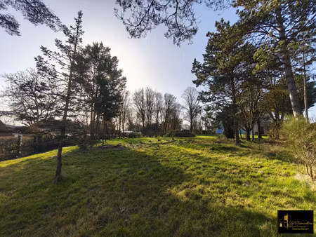 terrain à vendre villeconin