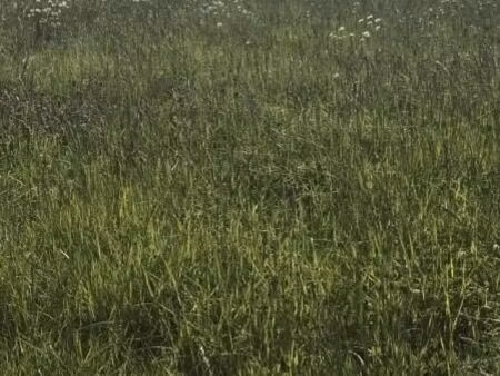 terrain 770 m² saint cyr des gats