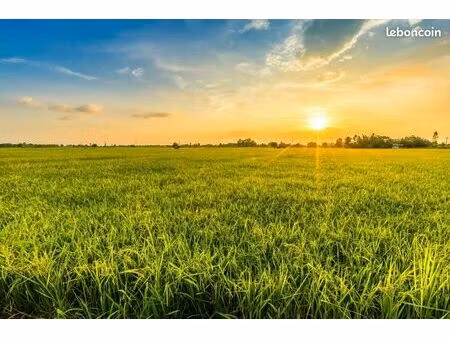 terrain 499 m² la croix en touraine