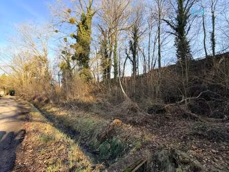 terrain à beau potentiel  11 10 ares