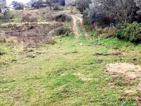 terrain constructible 6381m2