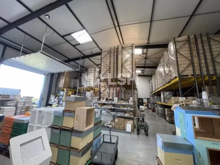 local d'activités à chasselay - proximité immédiate techlid - a louer - 495 m²